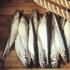 Baked smelt in the oven: properties and recipes Recipe for smelt fish in the oven