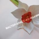 How to make crepe paper daffodils?
